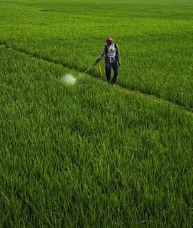 ΚΑΡΚΙΝΟΣ ΦΥΤΟΦΑΡΜΑΚΑ ΕΡΕΥΝΑ