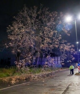 ΚΑΚΟΚΑΙΡΙΑ ERMINIO ΝΕΚΡΟΣ ΝΕΑ ΜΑΚΡΗ