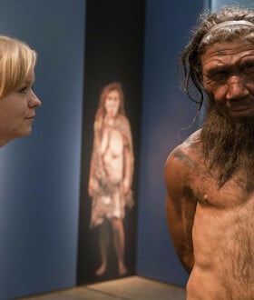 ΝΕΆΤΕΡΝΤΑΛ ΤΡΑΥΜΑΤΑ ΚΟΛΛΑ