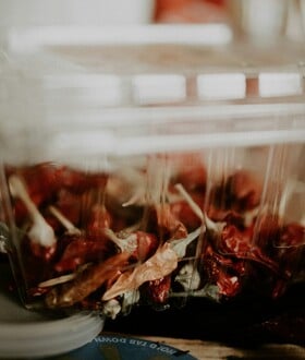 ΤΑΠΕΡ ΕΡΕΥΝΑ