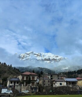 «Οι Μελισσουργοί έγιναν το σπίτι μου, με έσωσαν από τους εσωτερικούς μου δαίμονες»