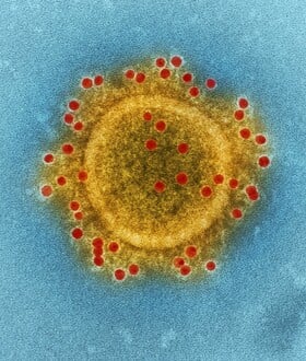 ΚΑΡΚΙΝΟΣ ΑΝΟΣΟΘΕΡΑΠΕΙΑ