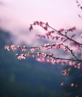 ΚΑΙΡΟΣ ΒΡΟΧΕΣ ΚΡΥΟ