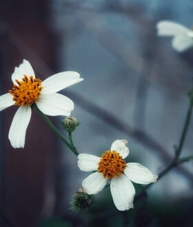 ΚΑΙΡΟΣ ΒΡΟΧΕΣ ΠΕΜΠΤΗ