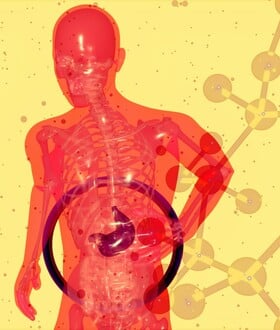 ΕΝΤΕΡΟ ΠΑΡΚΙΝΣΟΝ ΜΙΚΡΟΒΙΩΜΑ ΕΝΤΕΡΟΥ