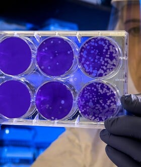 NOMA ΒΑΚΤΗΡΙΟ ΠΑΙΔΙΑ 