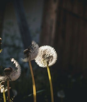 ΚΑΙΡΟΣ ΠΡΩΤΟΜΑΓΙΑ
