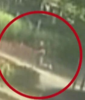 ΦΥΛΑΚΕΣ ΚΟΡΥΔΑΛΛΟΥ ΚΡΑΤΟΥΜΕΝΟΣ ΑΠΟΔΡΑΣΗ