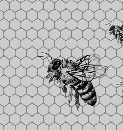 ΤΕΤΑΡΤΗ 03/11- ΕΧΕΙ ΠΡΟΓΡΑΜΜΑΣΤΕΙ-Γιατί χάνονται οι μέλισσες;