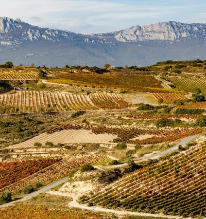 Όσα θέλετε να μάθετε για τα μοναδικά κρασιά της Ριόχα στην Ισπανία