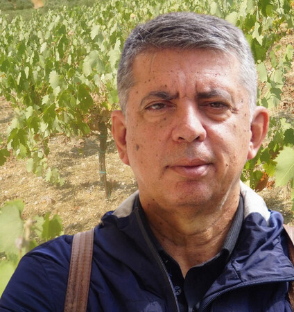 Εκπέμπει SOS ο ελληνικός αμπελώνας; Ο γκουρού της αμπελουργίας Στέφανος Κουνδουράς απαντά.