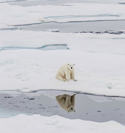 Περνάνε οι COP, αλλά οι πάγοι συνεχίζουν να λιώνουν
