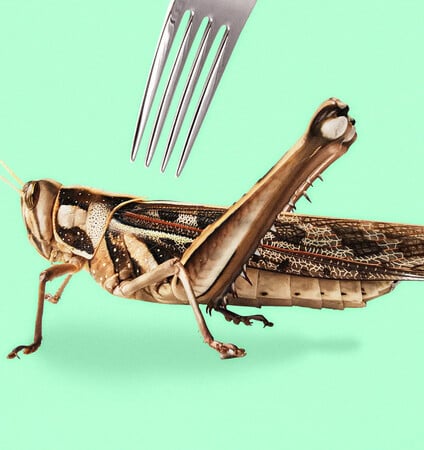 «Η εντομοφαγία μπαίνει σταδιακά στη διατροφή μας»