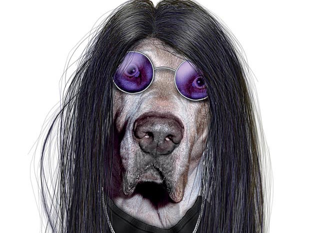 Ozzy Dawg!