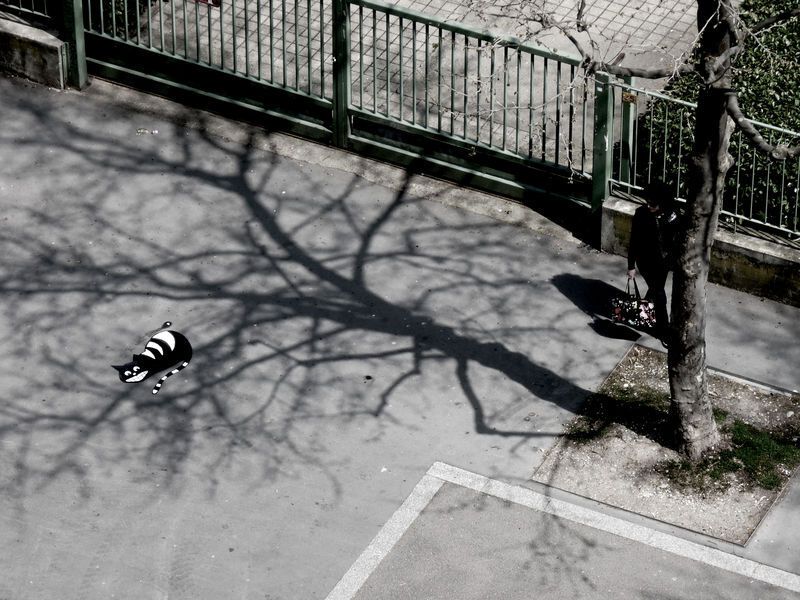 Oakoak