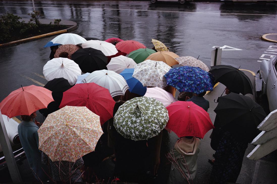 umbrellas