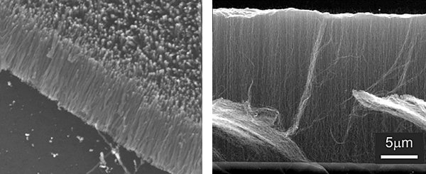 Οι νανοσωλήνες άνθρακα είναι 10.000 φορές πιο λεπτοί από την ανθρώπινη τρίχα και αναπτύσσονται σε θερμοκρασίες που φτάνουν τους 350 βαθμούς καλσίου