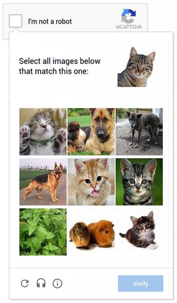 Το Cat Captcha εν δράσει!